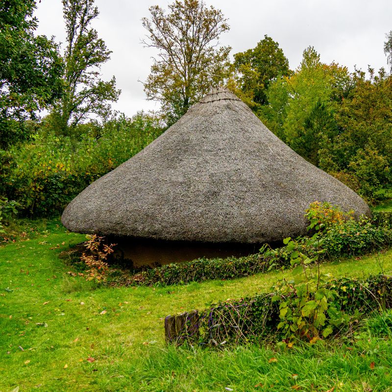 Iron Age roundhouse with a low, conical thatched roof set within the grounds at Minstead Study Centre, surrounded by grass and trees.